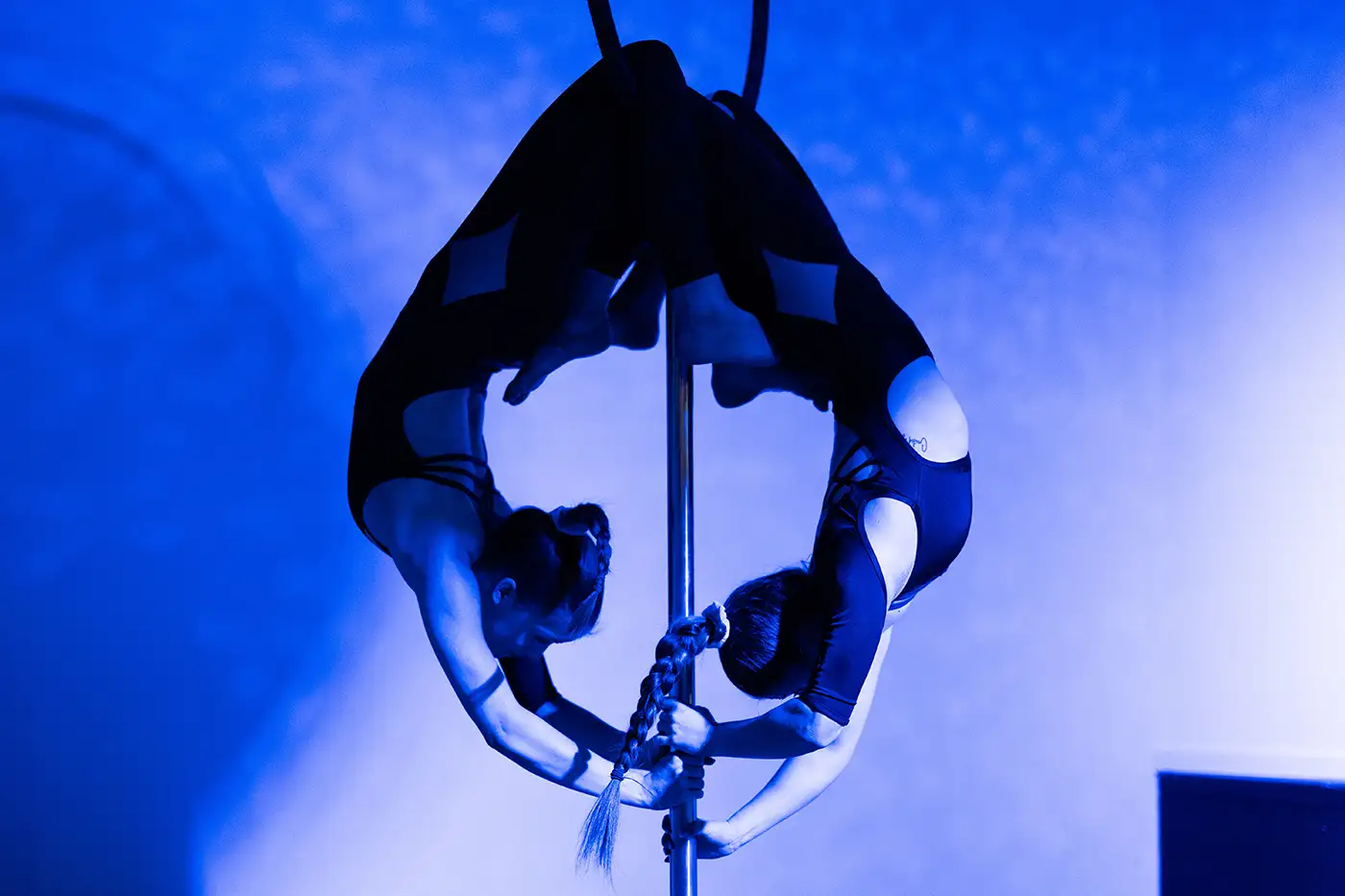 TK2024_Luka_Gregoric-112